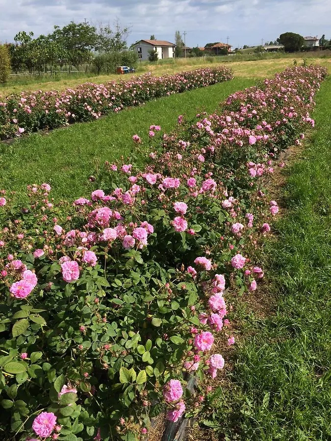 Bed & Breakfast Cascina Vecchia Bellaria B&B San Mauro Mare