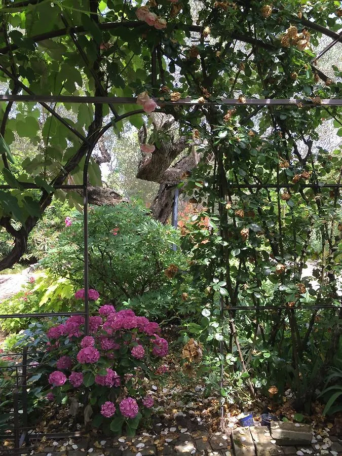 Cascina Vecchia Bellaria B&B San Mauro Mare Italy